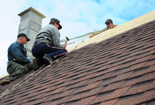 Best Commercial Roofing Services  in Keokea, HI