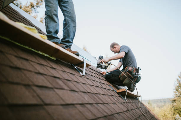 Best Storm Damage Roof Repair  in Keokea, HI